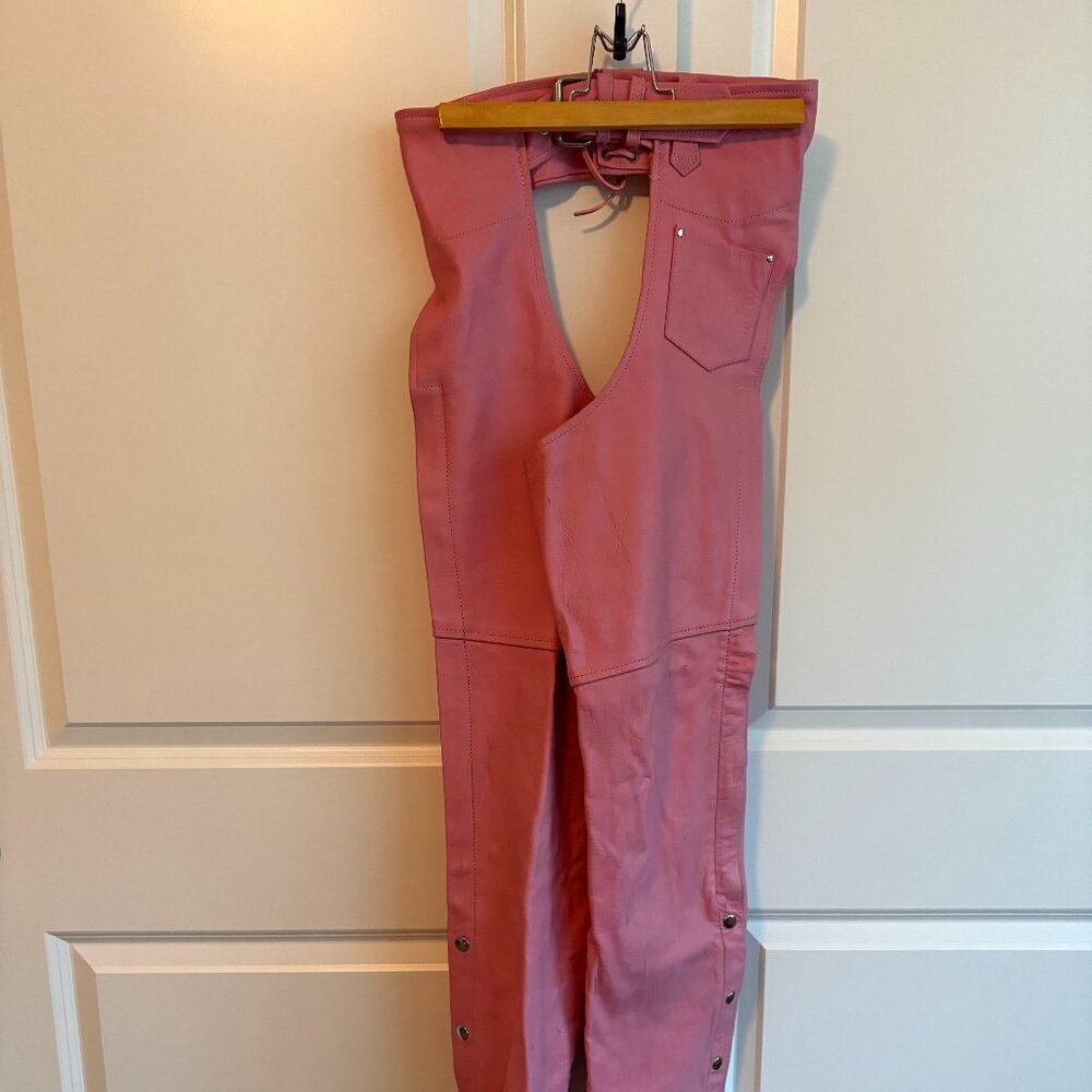 Motorcycle Chaps - image 1